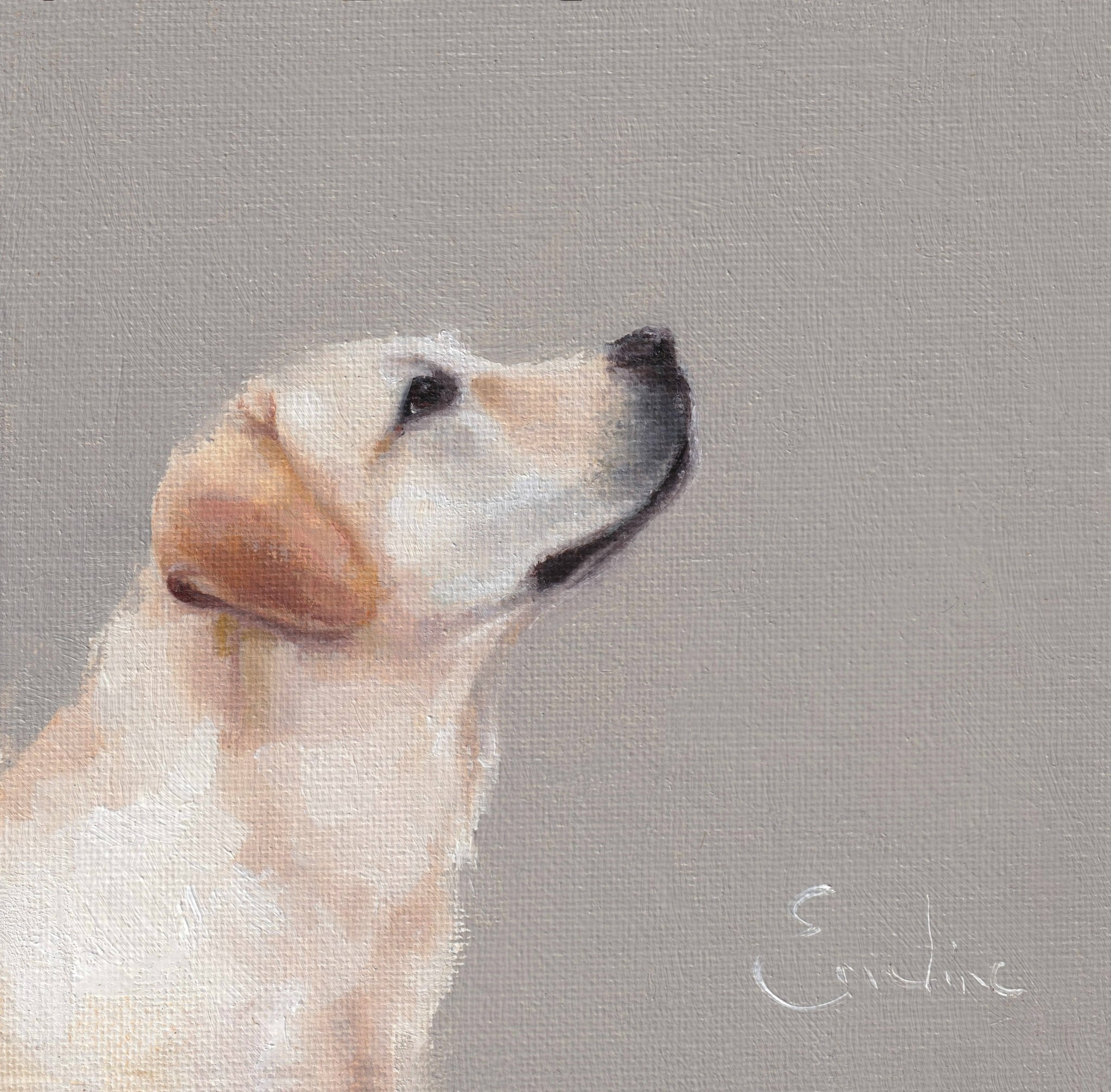 Emeline Watchorn - Greetings Card - DS047 Loyalty 6x6 - The Look and Co