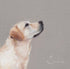 Emeline Watchorn - Greetings Card - DS047 Loyalty 6x6 - The Look and Co