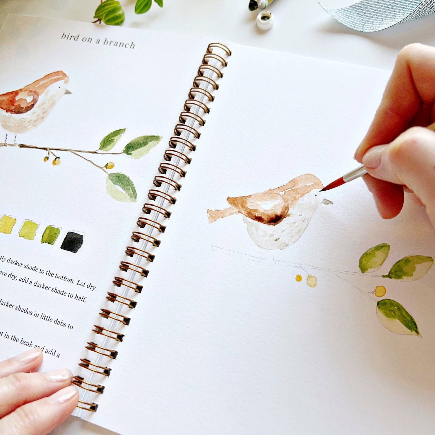 emily lex studio - Animals watercolor workbook - The Look and Co