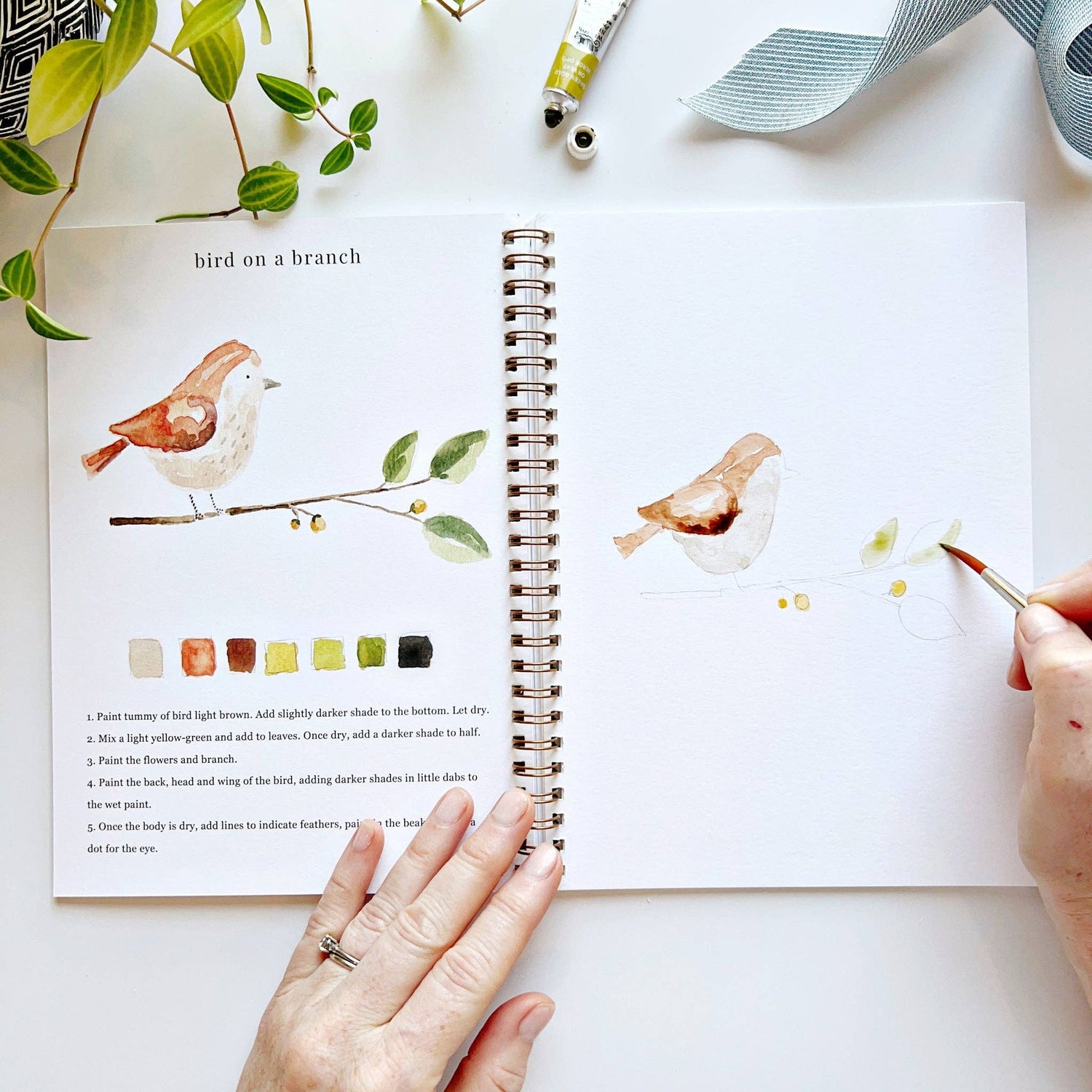 emily lex studio - Animals watercolor workbook - The Look and Co