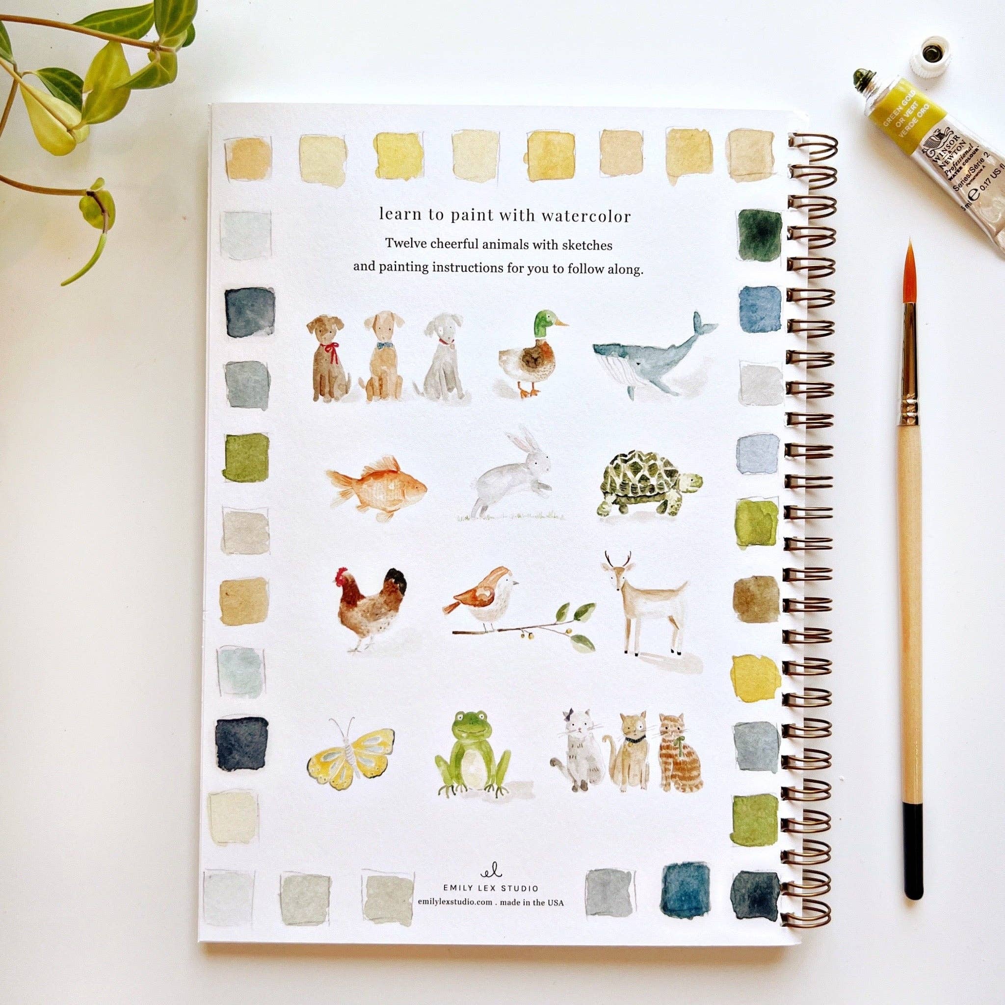 emily lex studio - Animals watercolor workbook - The Look and Co