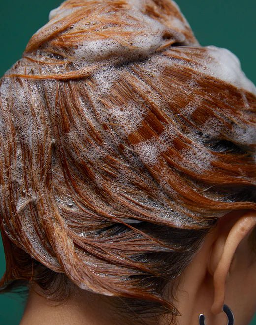 Epres Healthy Hair Shampoo - The Look and Co