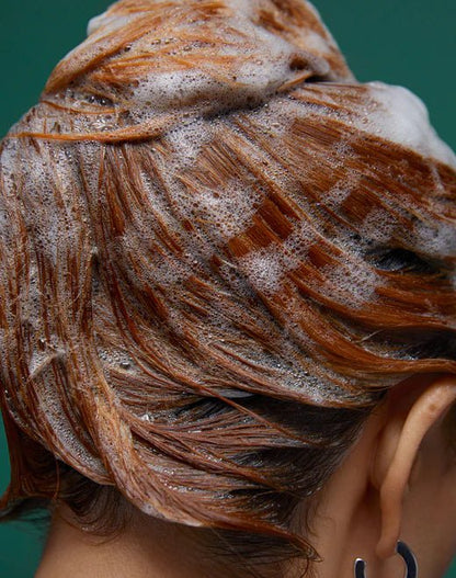 Epres Healthy Hair Shampoo - The Look and Co