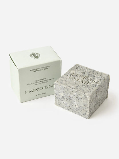 Flamingo Estate Exfoliating Peppermint Soap Brick - The Look and Co