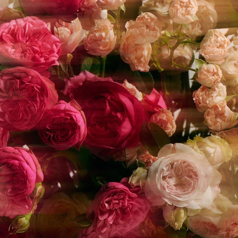 Flamingo Estate Jasmine Damask Rose Glass Hand Soap - The Look and Co