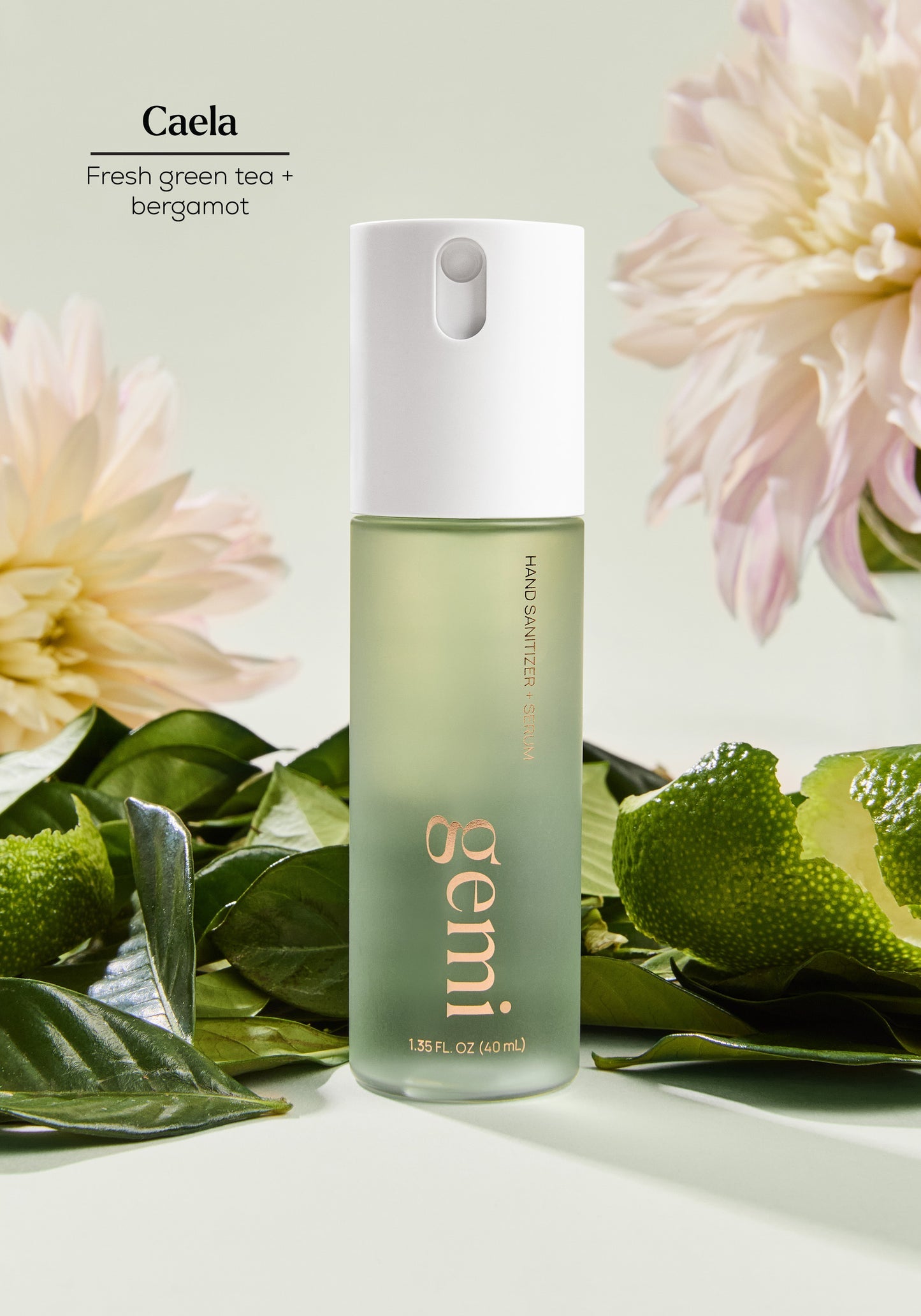 Gemi Hand Sanitizer + Serum