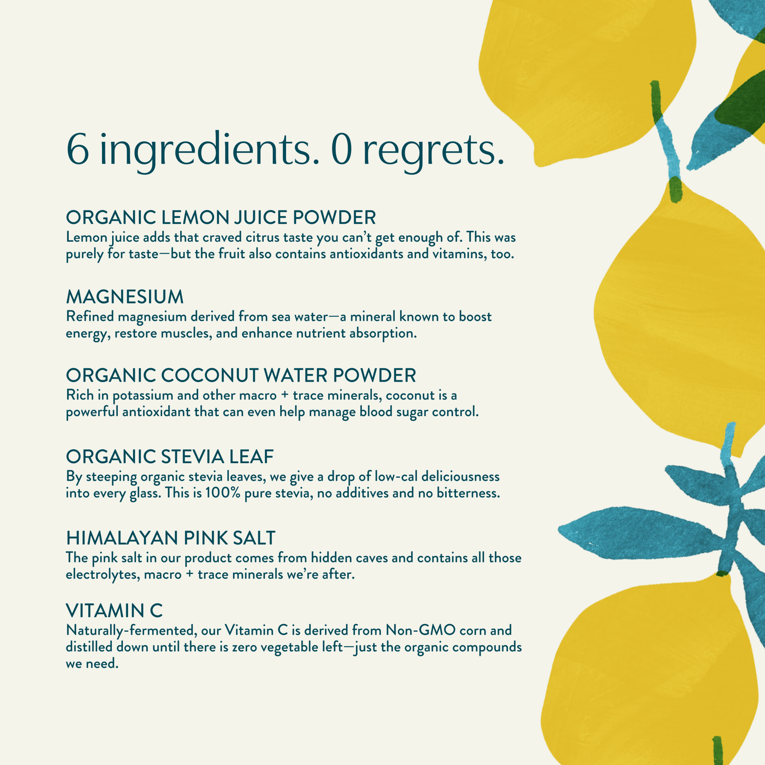 GOODONYA - Organic Hydration™ Stick Pack (12 Single - Serve Sticks) - The Look and Co