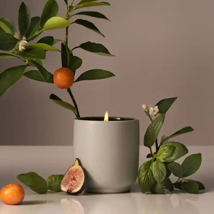 Homecourt - Signature Candle | Half Case - The Look and Co