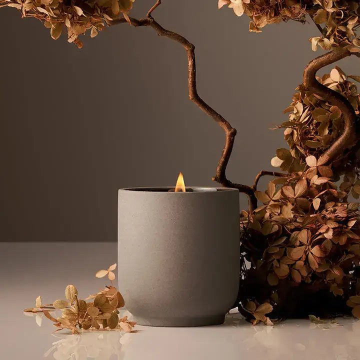 Homecourt - Signature Candle | Half Case - The Look and Co