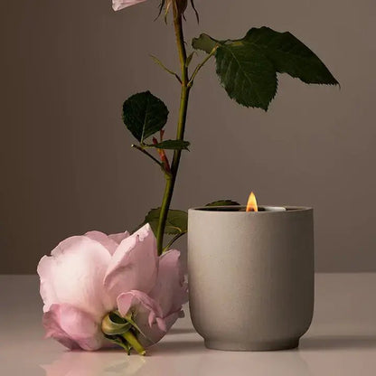 Homecourt - Signature Candle | Half Case - The Look and Co