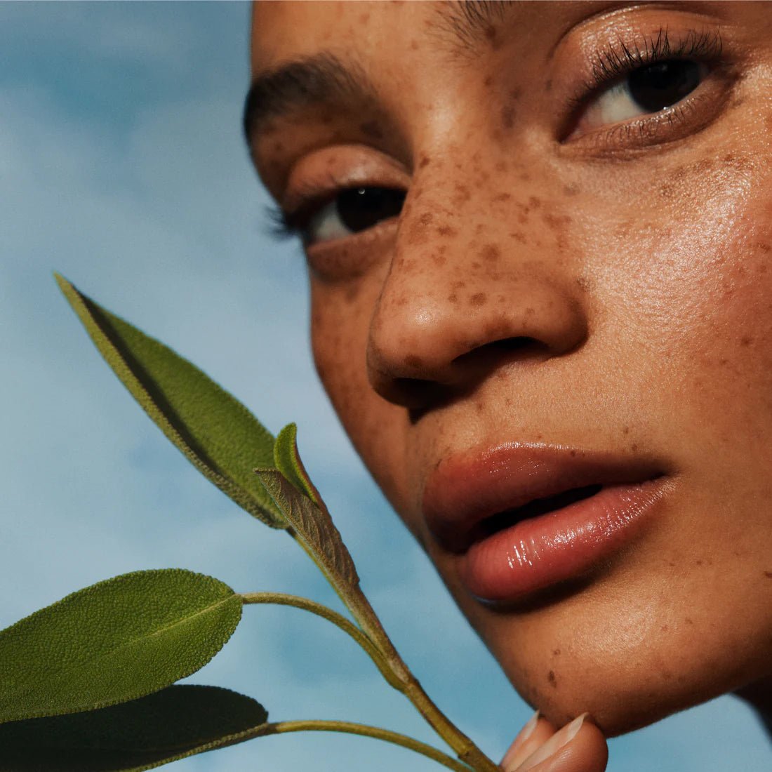 Irene Forte Skincare Pistachio Face Oil with Dr. Ferri APM™ - The Look and Co