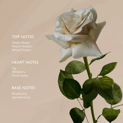 Irene Forte Skincare Rose Body Oil - The Look and Co