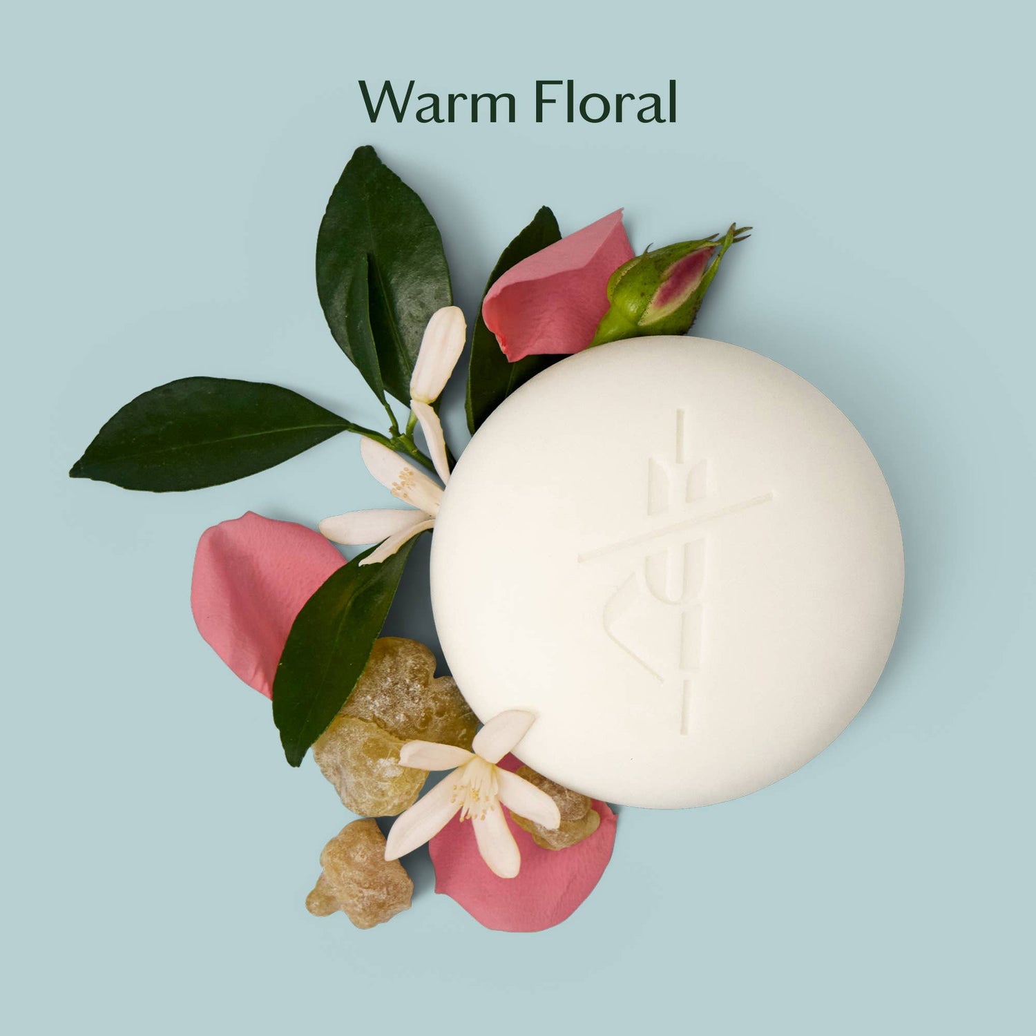 Kate McLeod - Daily Stone | Deep Moisturizing Lotion Bar - The Look and Co