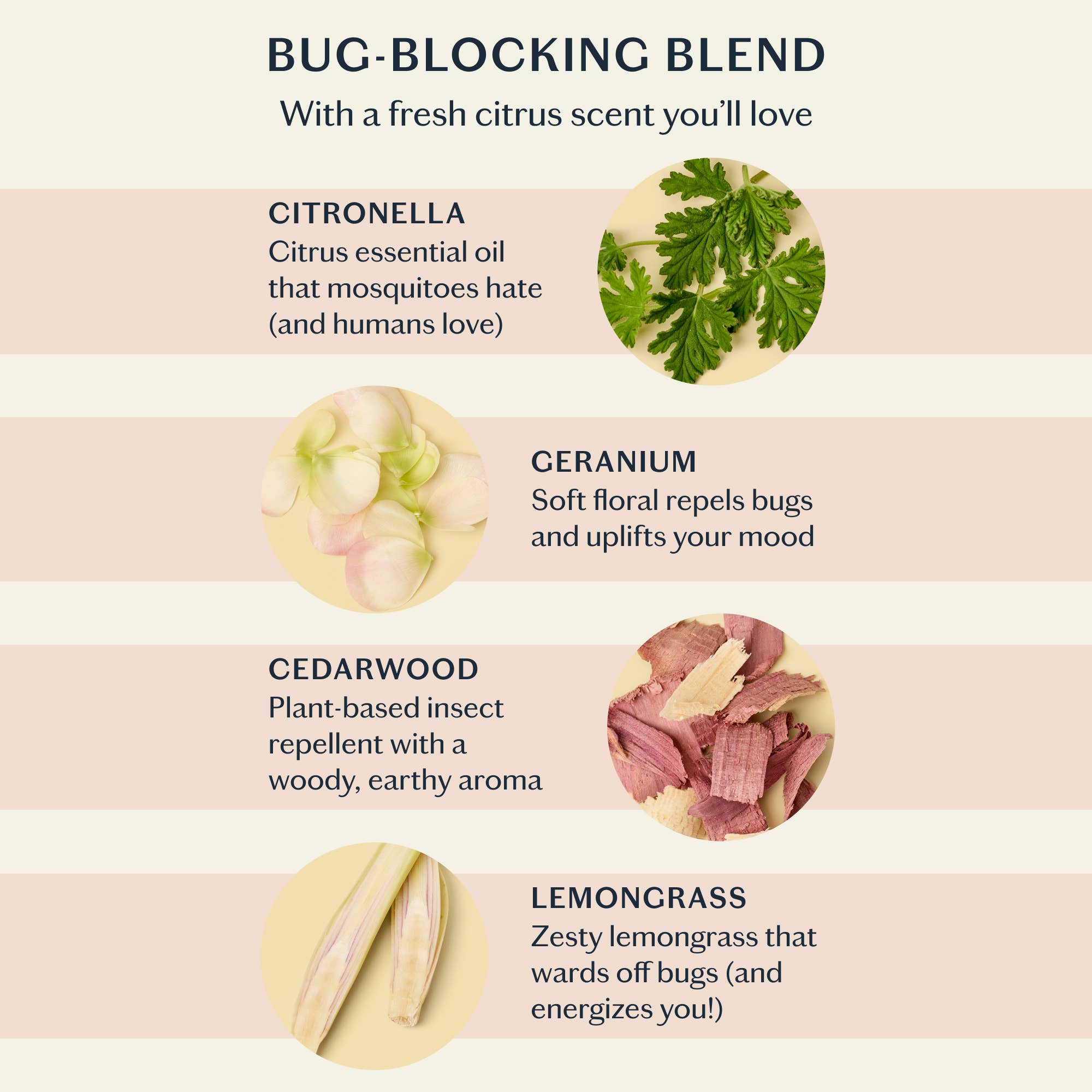 Kate McLeod - The Bug Balm - The Look and Co