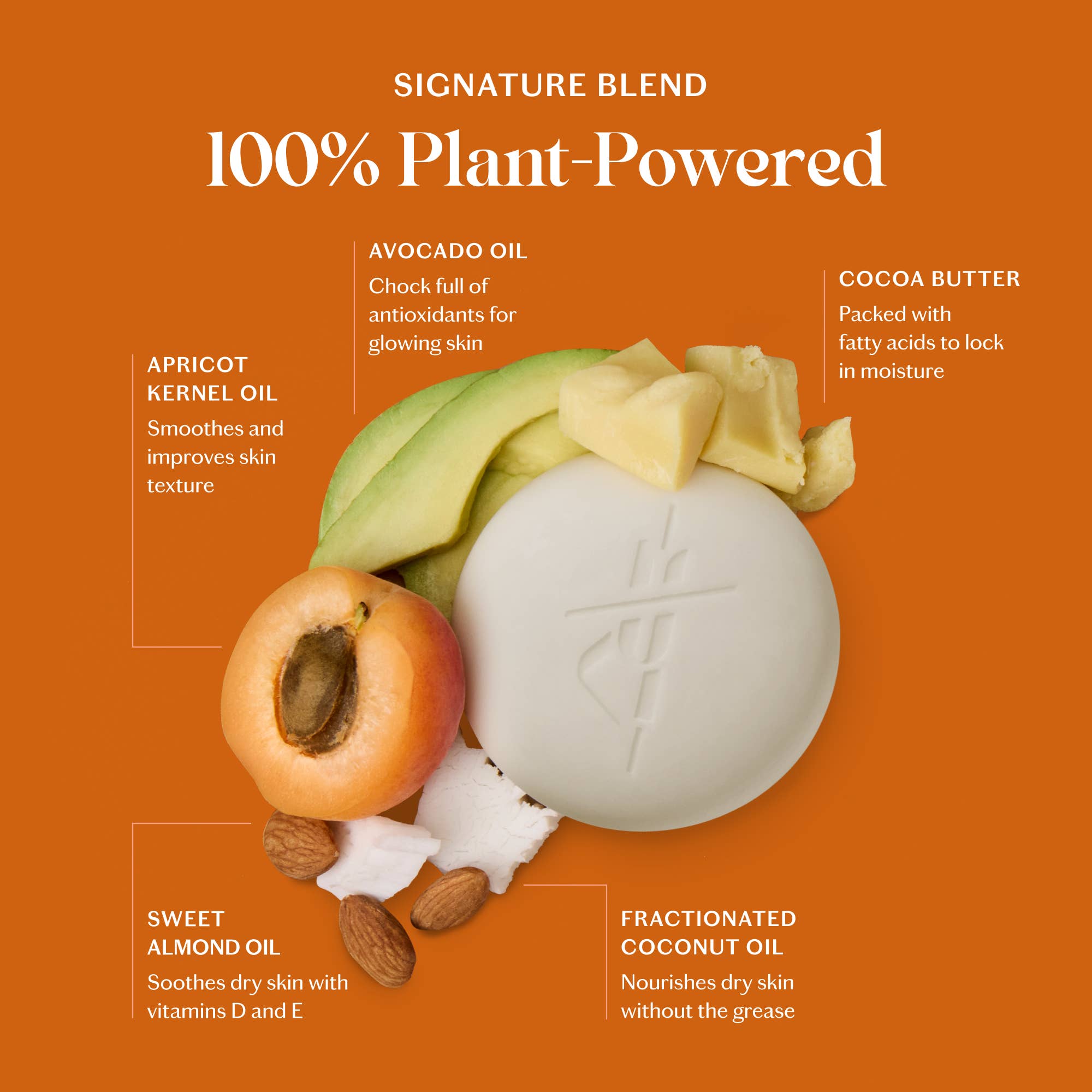 Kate McLeod - Winter Rituals Body Stone Duo - The Look and Co