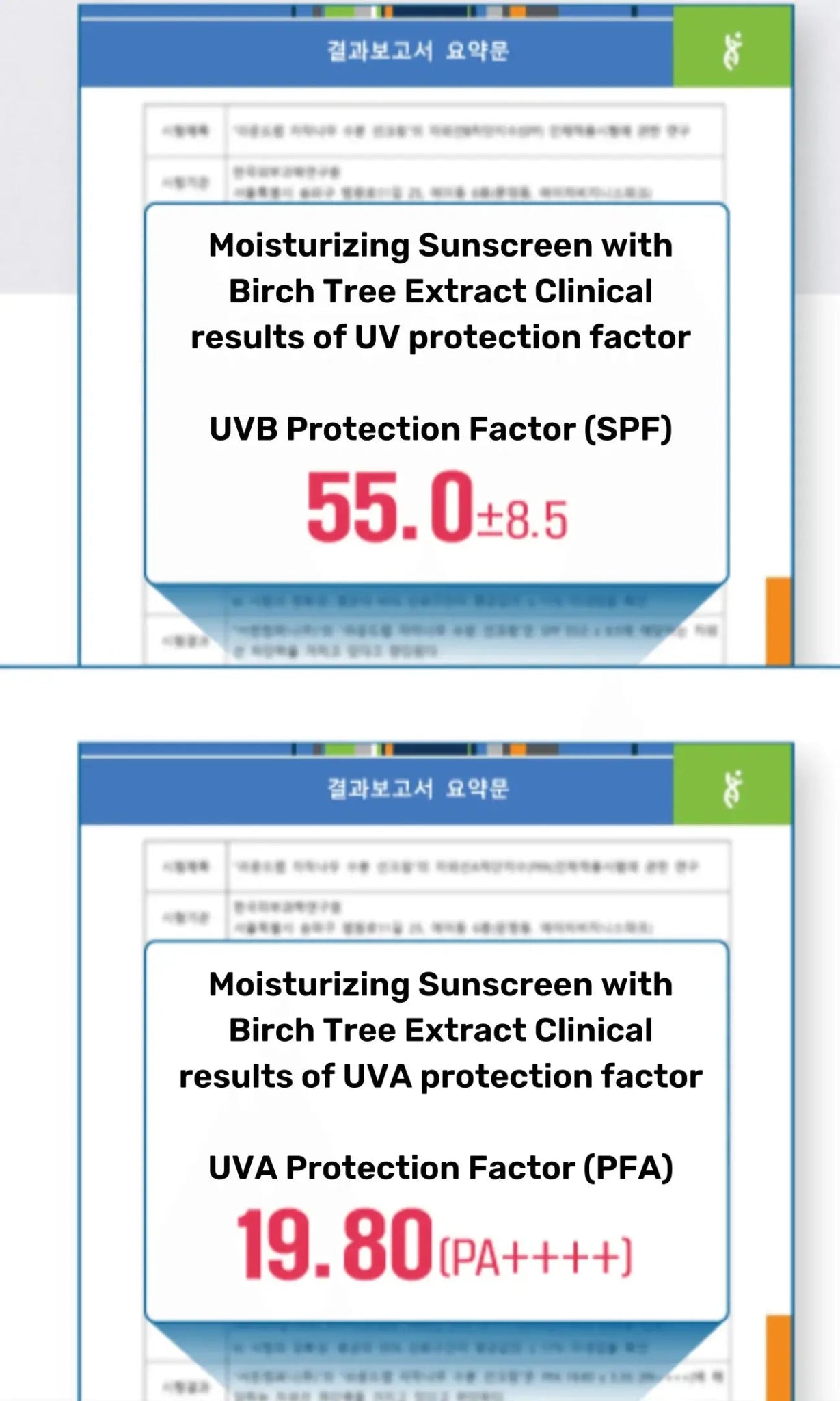 Kosmic - Kbeauty Skincare - [ROUND LAB] BIRCH JUICE MOISTURIZING SUN CREAM SPF50+ 50ML - The Look and Co