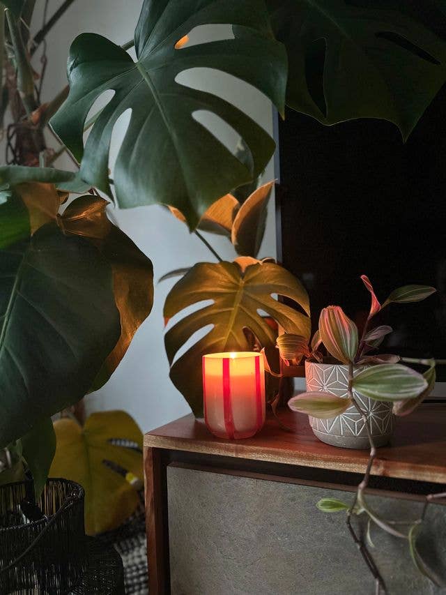 MÆGEN - Atina Candle - Orange Blossom &amp; Basil - The Look and Co