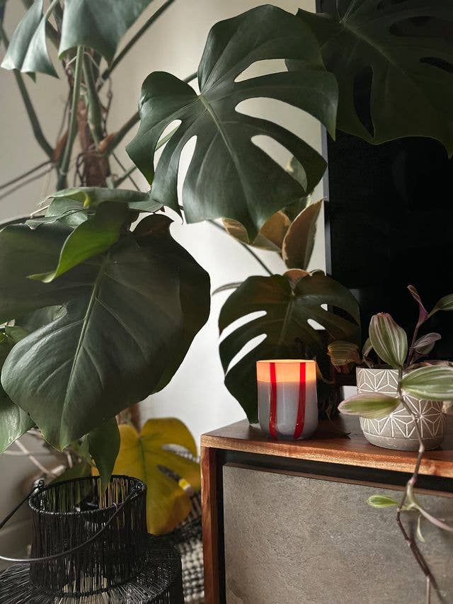 MÆGEN - Atina Candle - Tomato &amp; Mint Leaf - The Look and Co