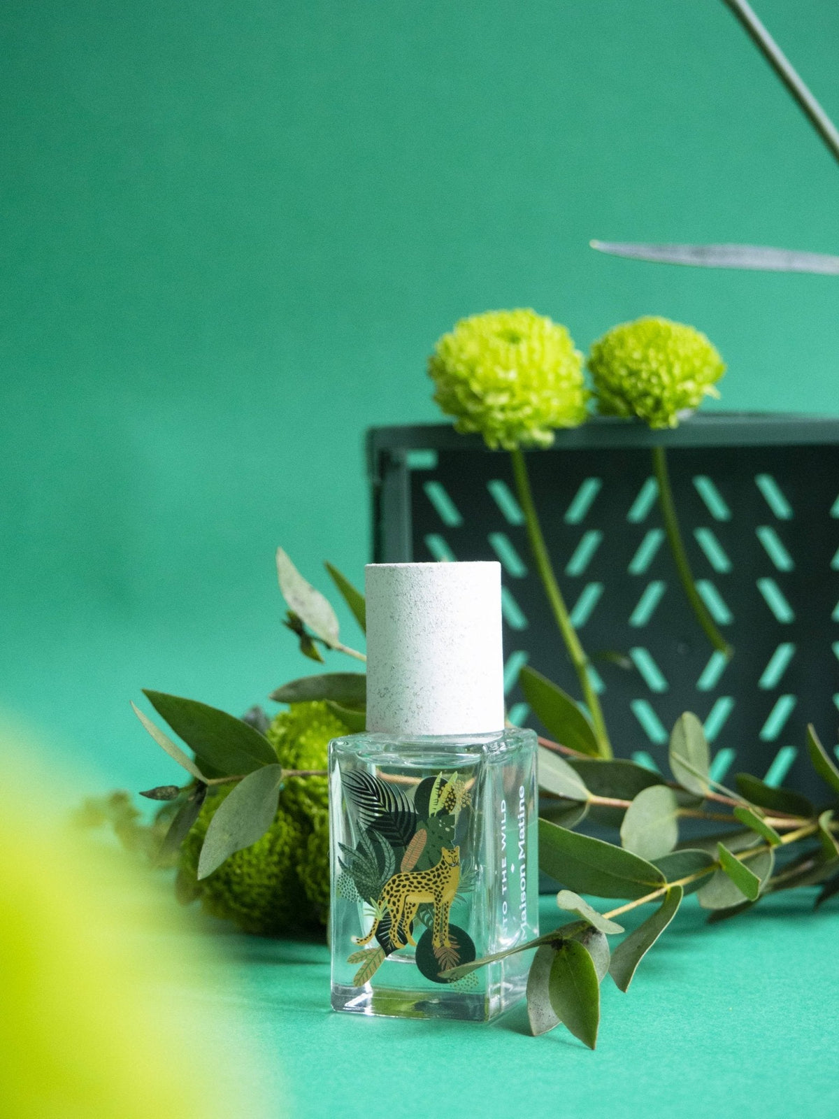 ‍Maison Matine - Into The Wild - a woody, spicy scent (100% off) - The Look and Co