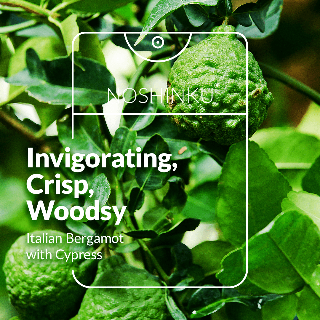 Noshinku - REFILLABLE Bergamot Ultra - Moisturizing Pocket Hand Sanitizer - The Look and Co