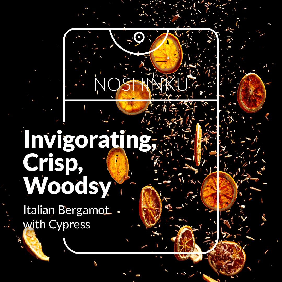 Noshinku - REFILLABLE Bergamot Ultra - Moisturizing Pocket Hand Sanitizer - The Look and Co