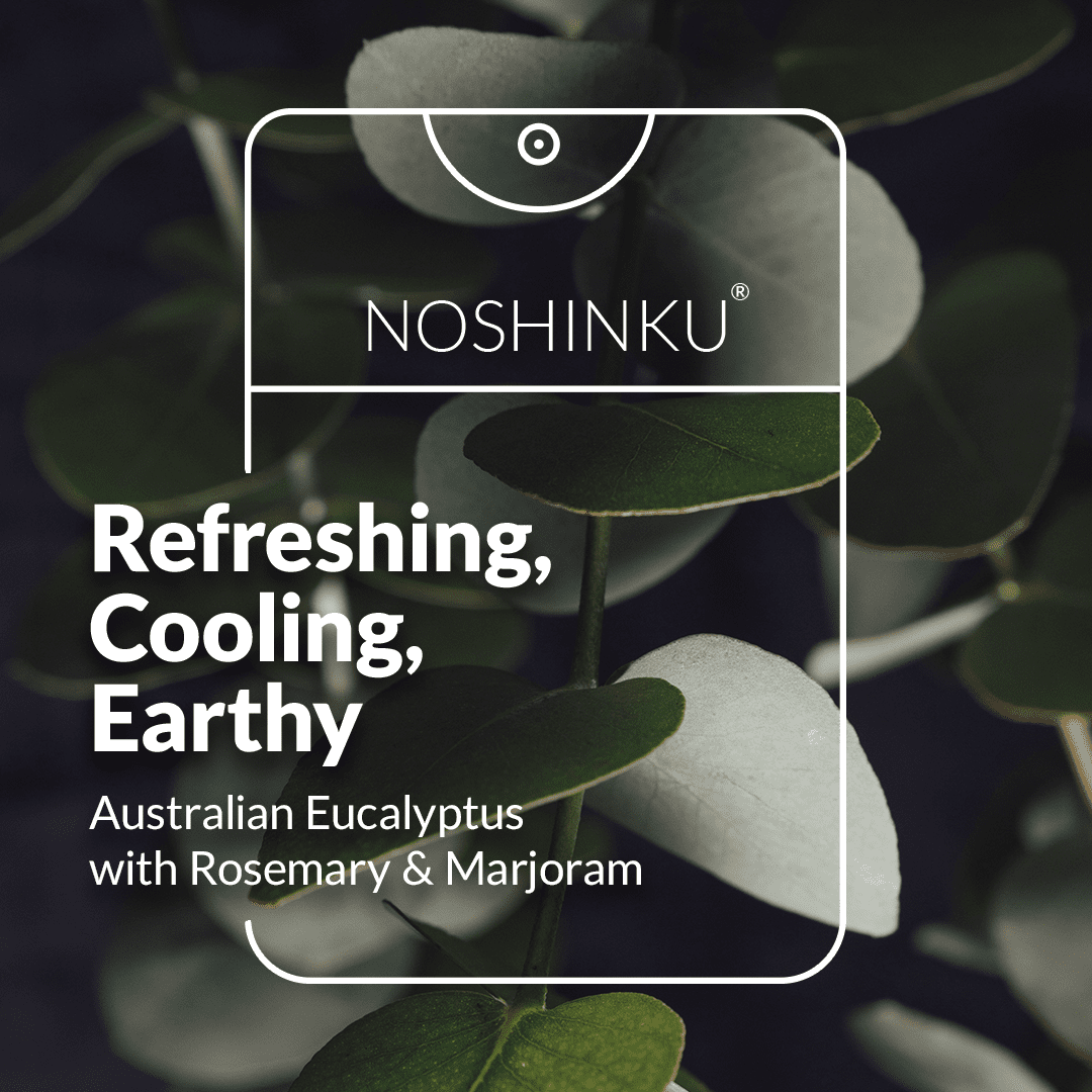 Noshinku - REFILLABLE Eucalyptus Moisturizing Pocket Hand Sanitizer - The Look and Co