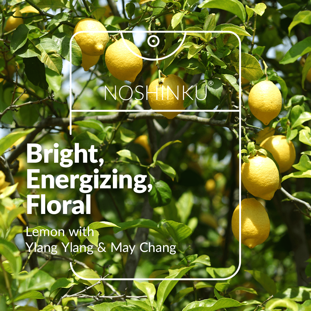 Noshinku - Refillable Lemon Ylang - Ylang Moisturizing Pocket Sanitizer - The Look and Co