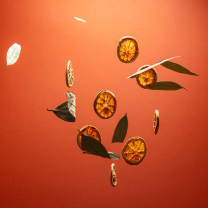 Noshinku - Refillable Orange - Coriander Hydrating Pocket Hand Sanitizer - The Look and Co