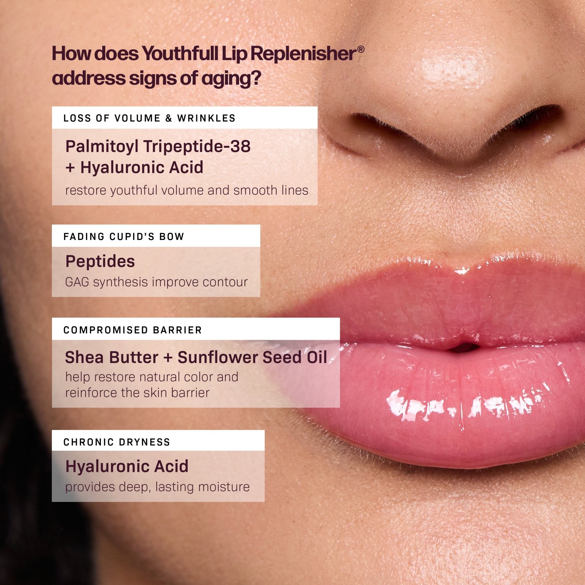Revision Skincare YouthFull Lip Replenisher – The Look and Co