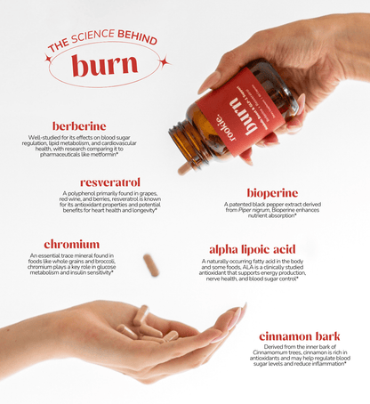 Rookie Wellness - Burn | Metabolic Boost &amp; GLP - 1 Support - The Look and Co