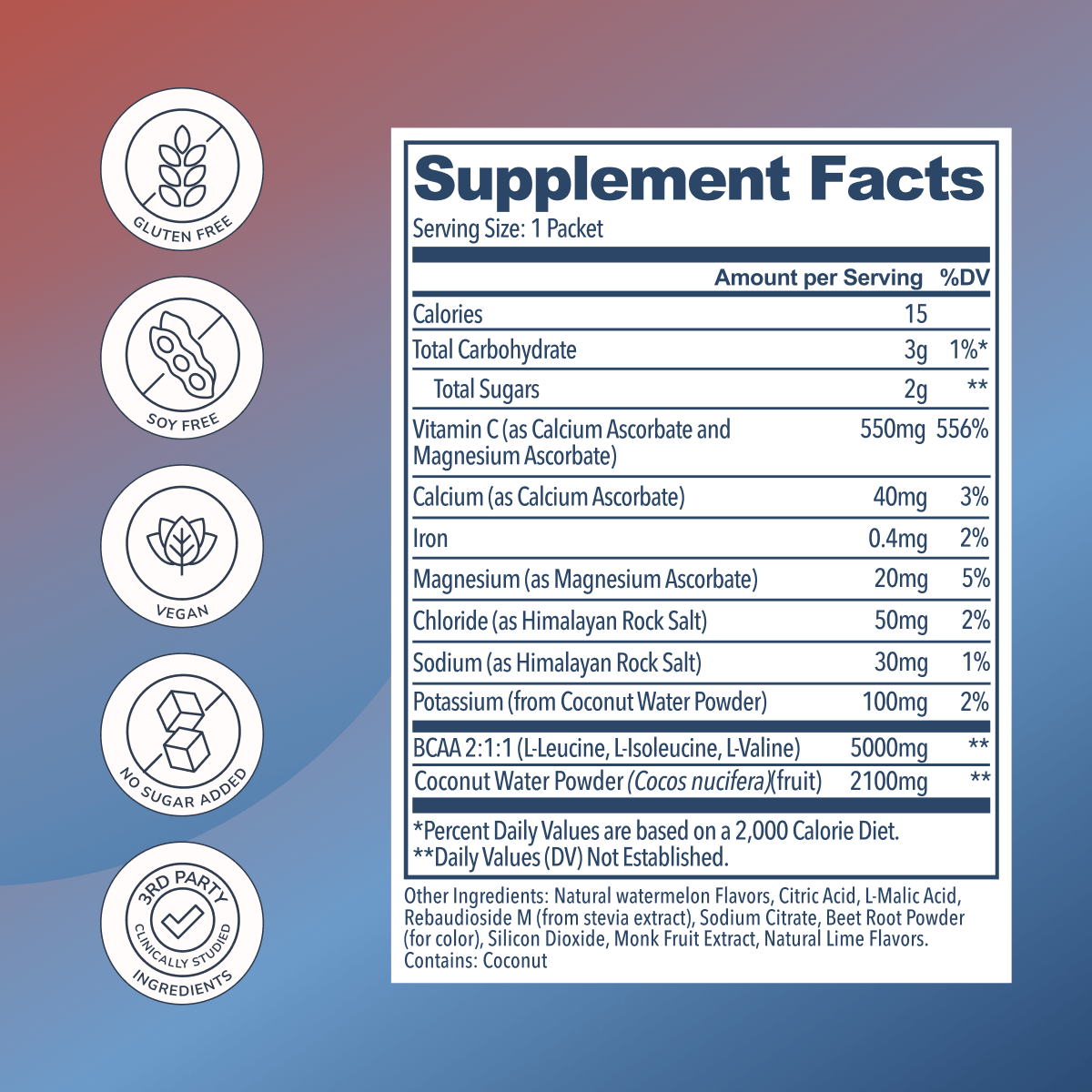 Rookie Wellness - Watermelon Lime BCAA Electrolyte Mix: Hydration &amp; Recovery - The Look and Co