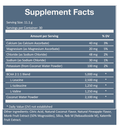 Rookie Wellness - Watermelon Lime BCAA Hydration + Electrolytes Packets - The Look and Co