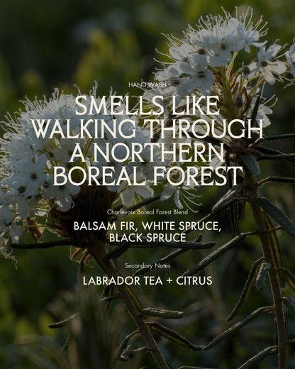 Sans Savon - Hand Wash, Charlevoix Boreal Forest Blend (500ml) - The Look and Co