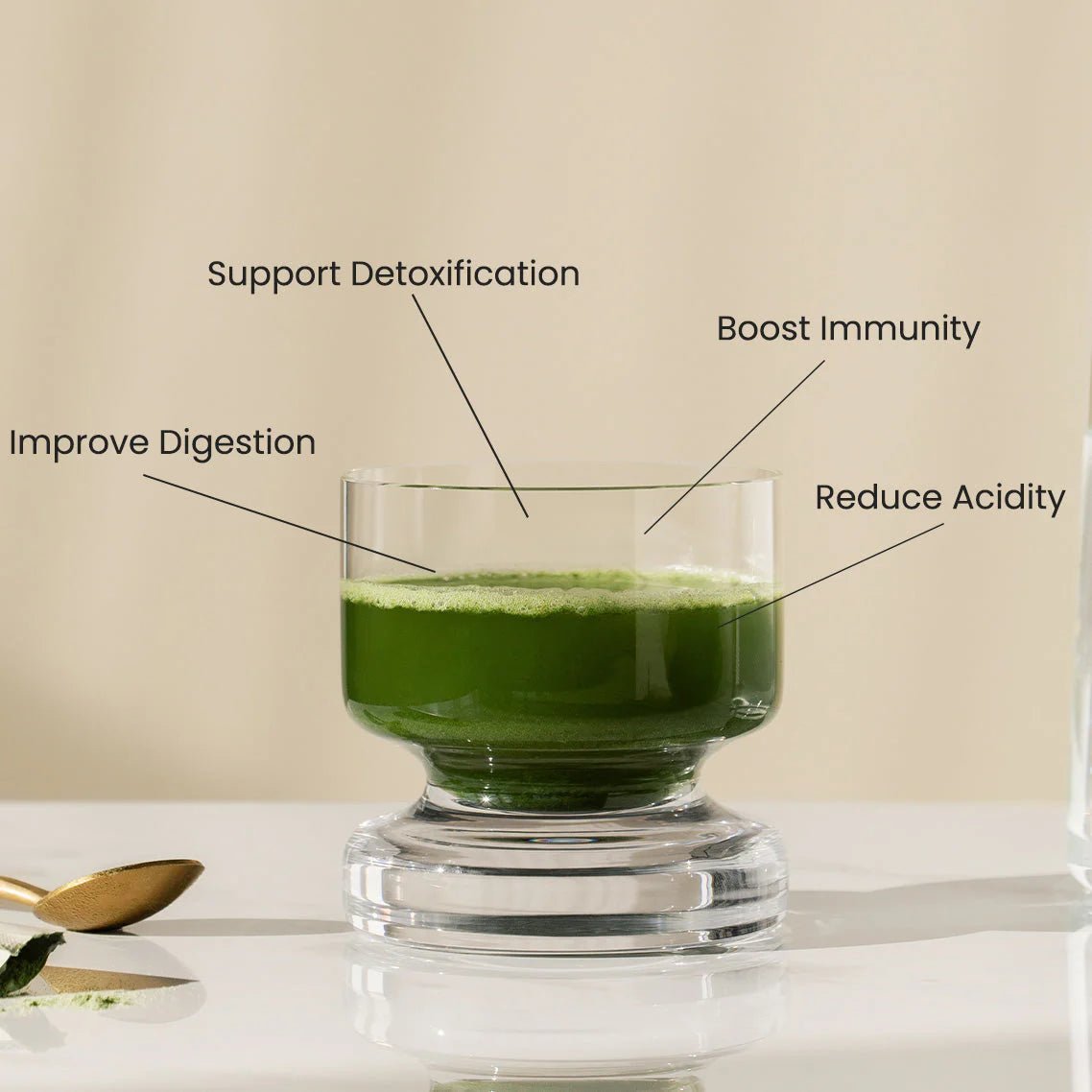 Sarah Wragge Wellness SWW® Alkalize Detoxifying Greens Powder - The Look and Co