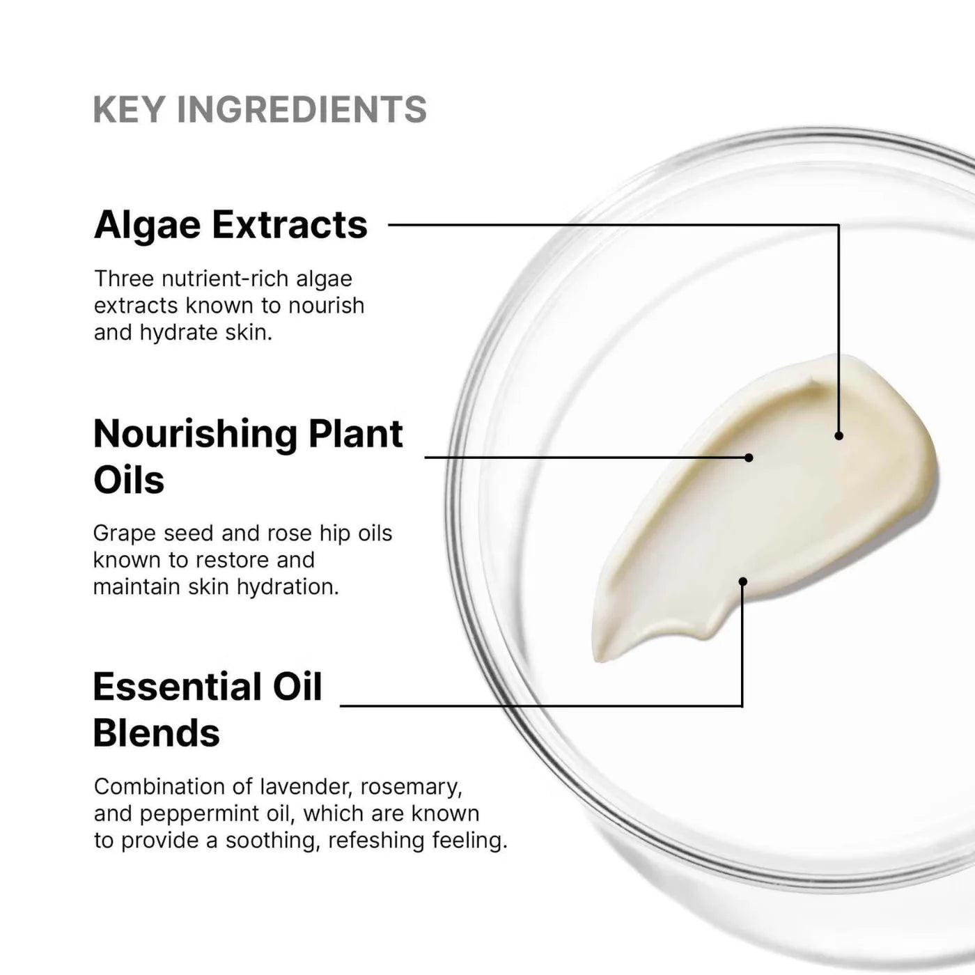 SkinCeuticals Emollience - The Look and Co