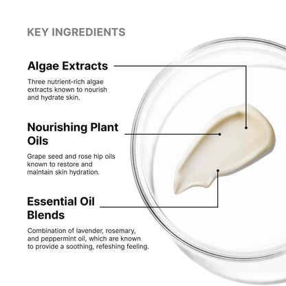 SkinCeuticals Emollience - The Look and Co
