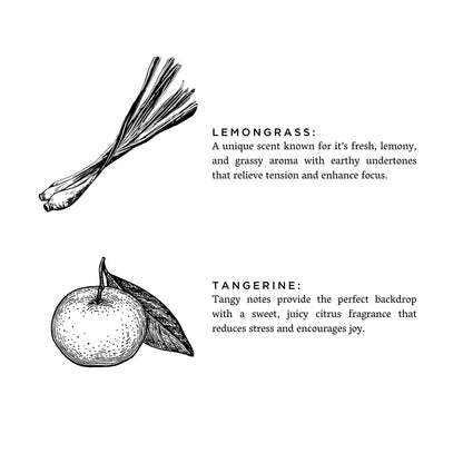 Slow North - Lemongrass + Tangerine - Non-Toxic Candle, Essential Oils - The Look and Co