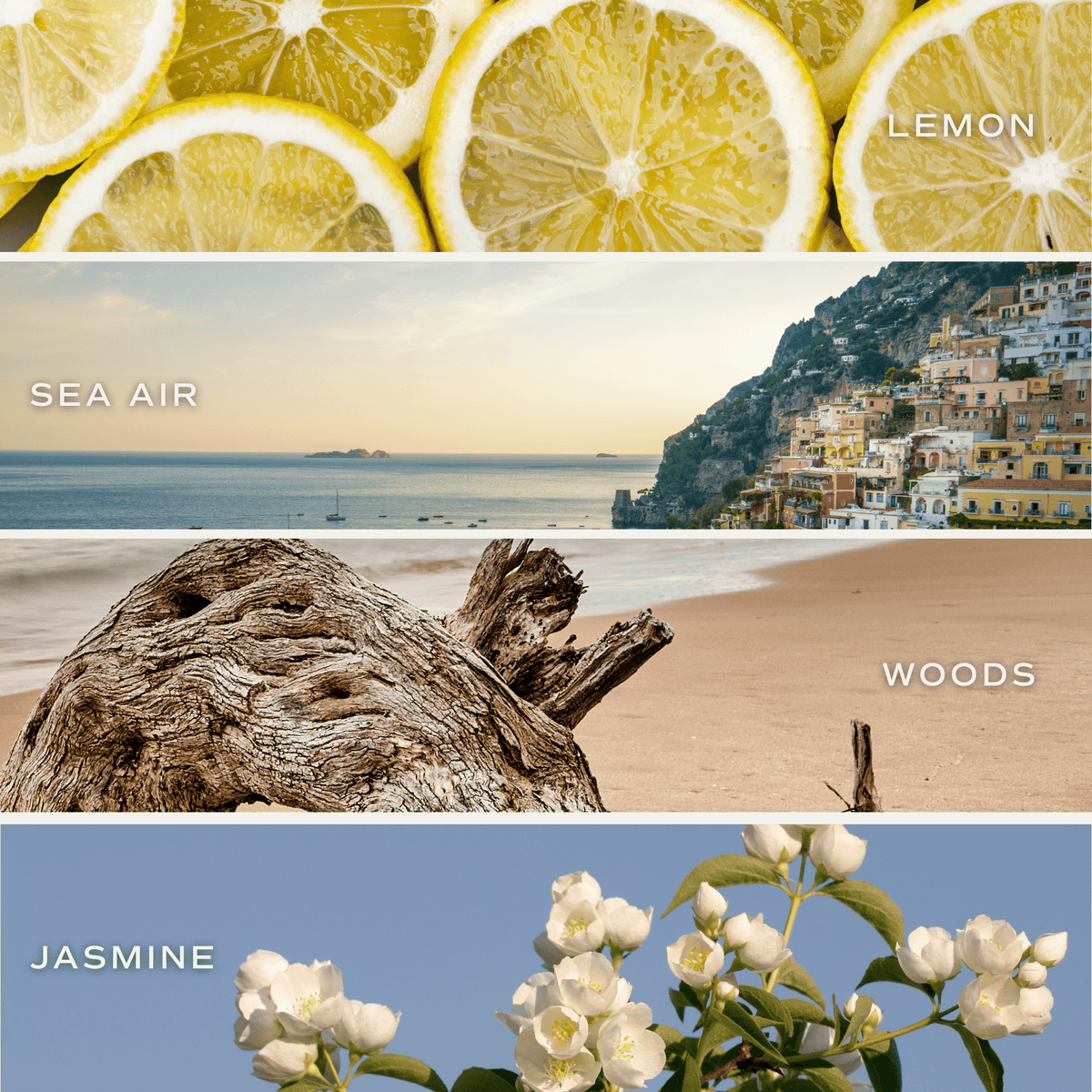 Sweet Water Decor - Coastal Lemon 11 oz Soy Candle - Home Decor &amp; Gifts - The Look and Co