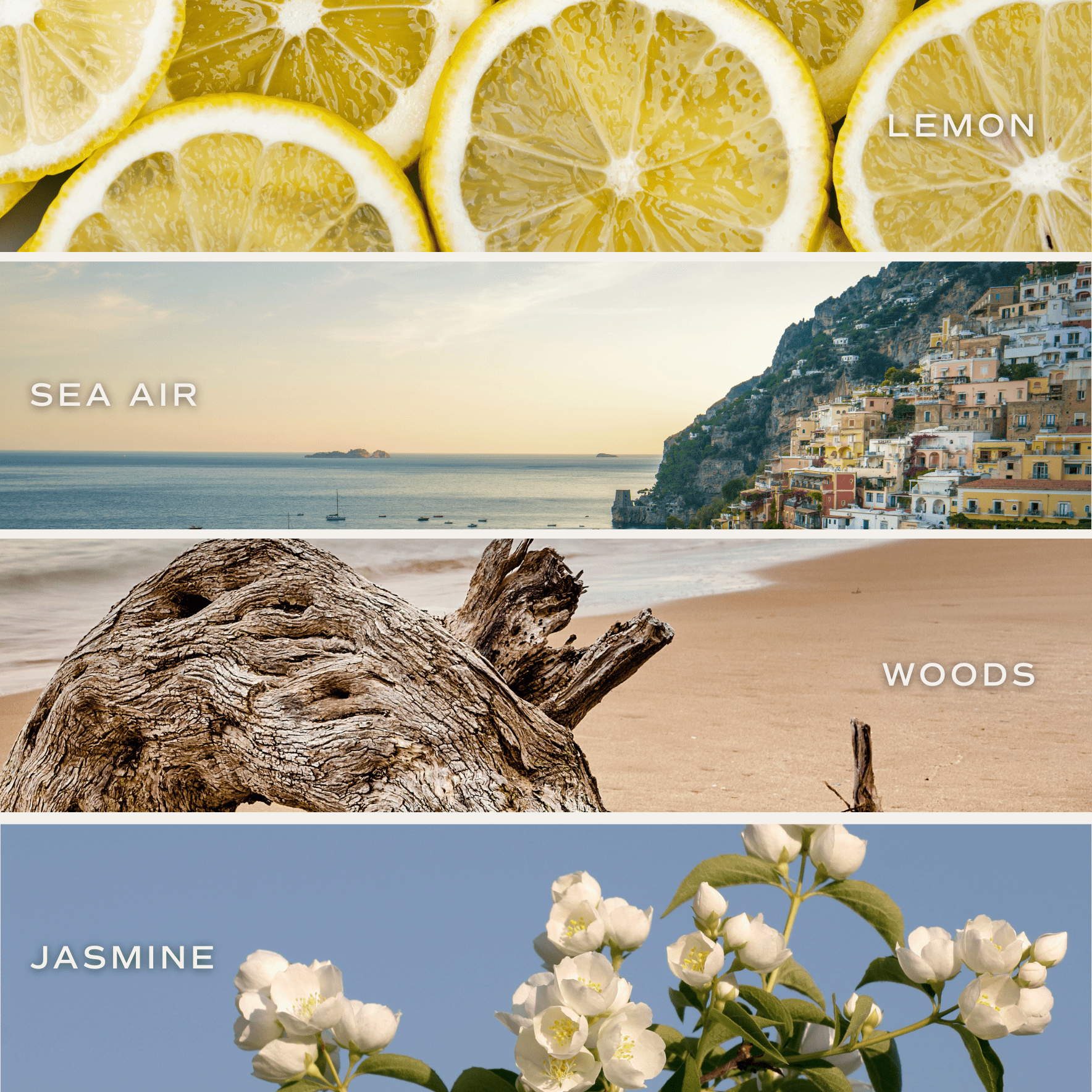 Sweet Water Decor - Coastal Lemon 15 oz Soy Candle, Matte Jar - Home Decor - The Look and Co
