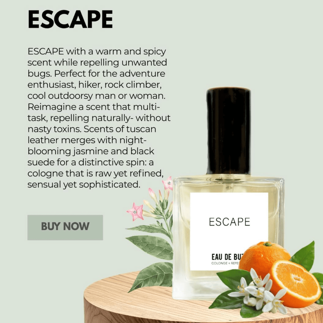 The Buzz Escape Cologne (UNISEX) + Bug Defying Repellent - The Look and Co