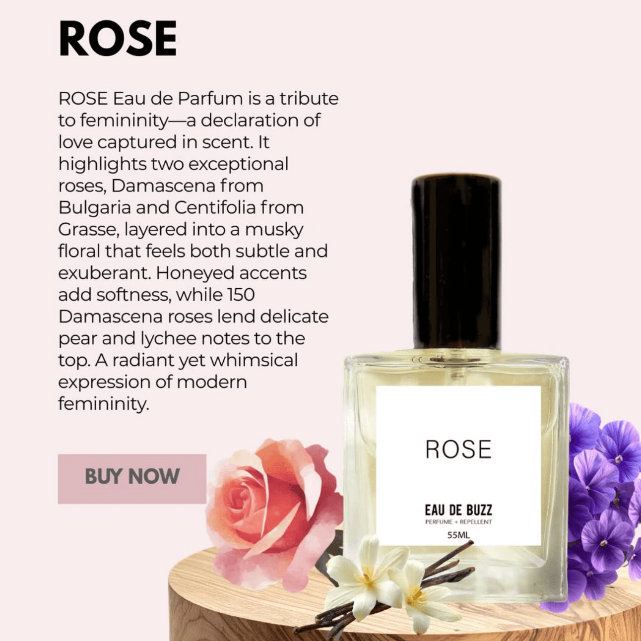 The Buzz Rose Eau de Parfum + Bug Defying Repellent - The Look and Co
