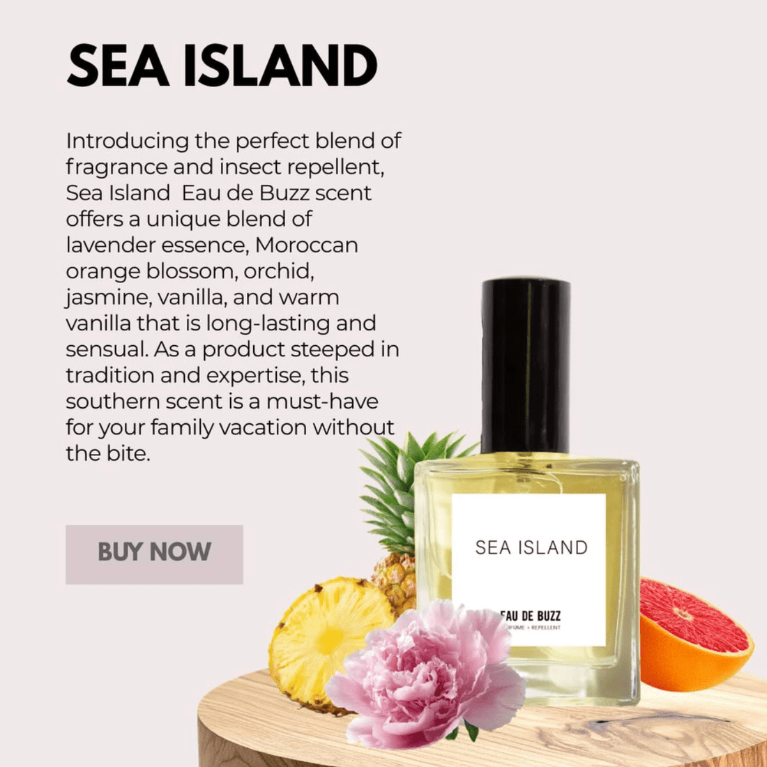 The Buzz SEA ISLAND Eau De Parfum + Bug Defying Repellent - The Look and Co
