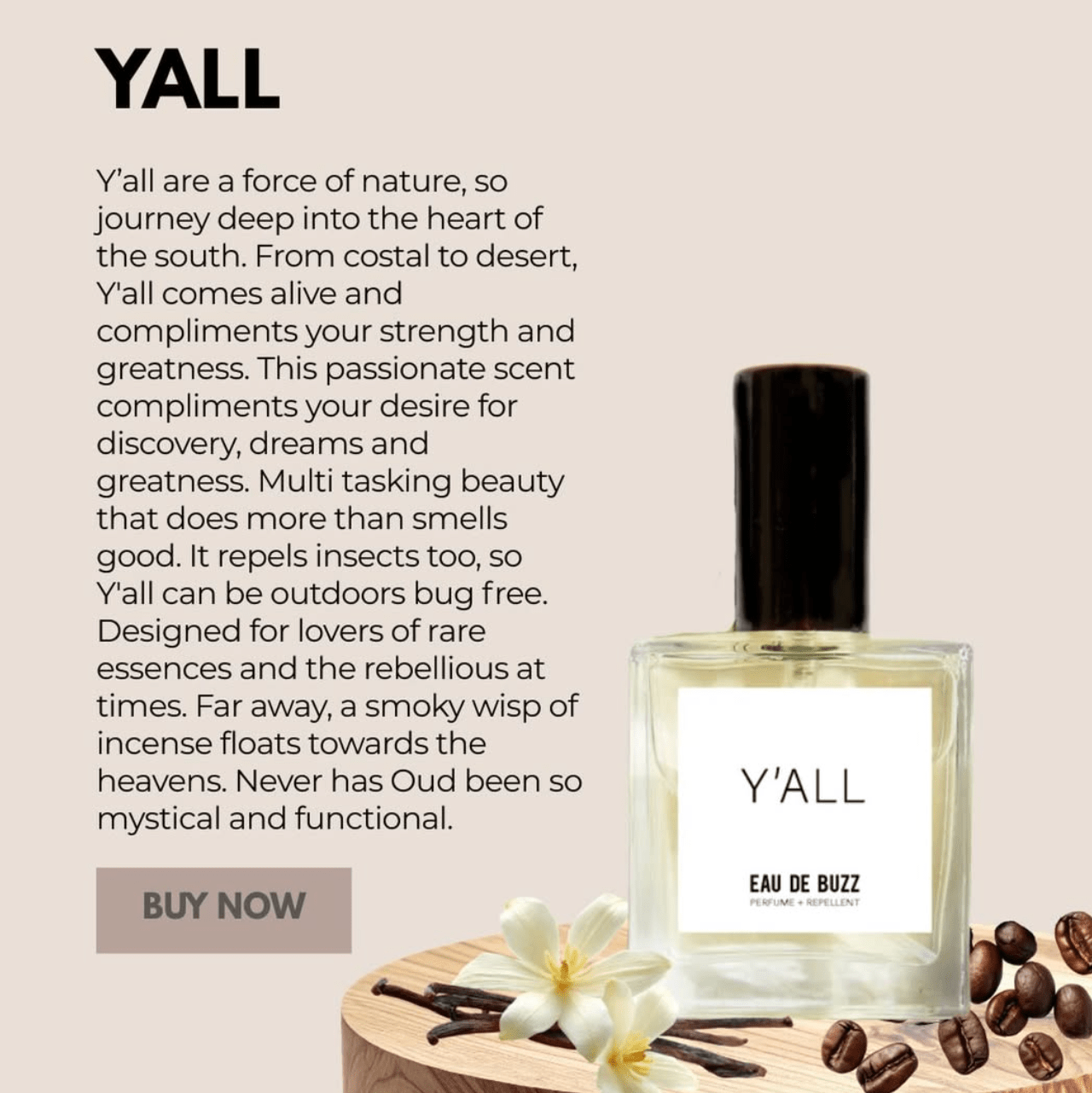 The Buzz Y&