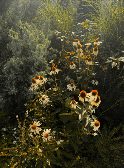 The Quiet Botanist - Garden Stories Candle - The Look and Co