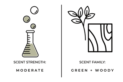 True Hue - Balsam Frost Candle - The Look and Co