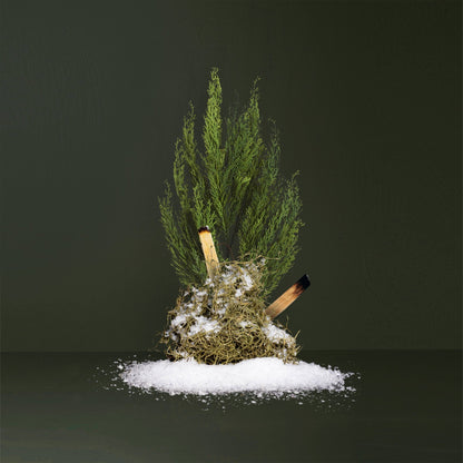 True Hue - Balsam Frost Candle - The Look and Co