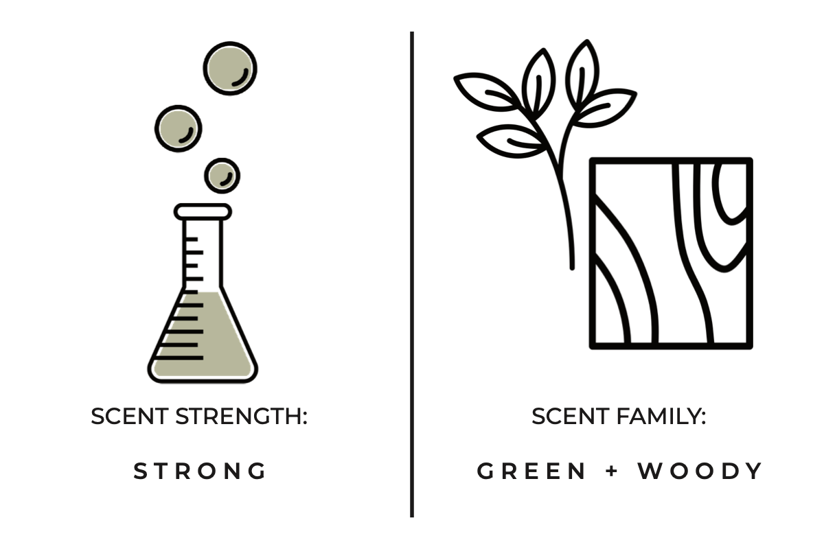 True Hue - Fir Needle Candle - The Look and Co