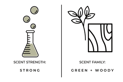 True Hue - Fir Needle Candle - The Look and Co