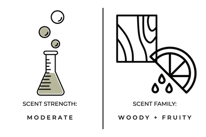 True Hue - Stargazing Candle - The Look and Co