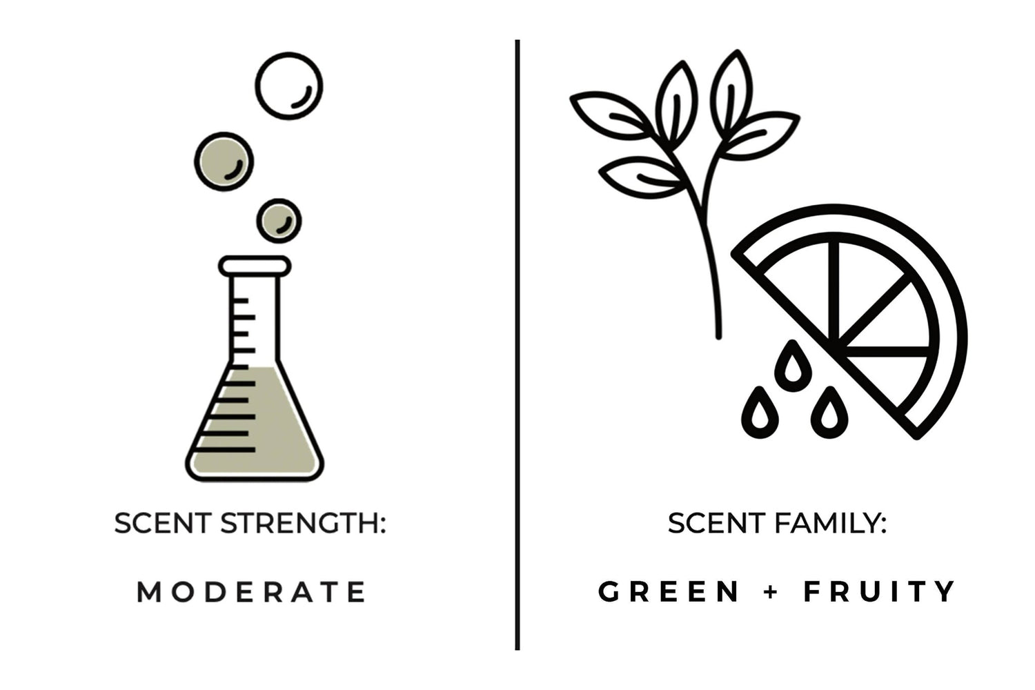 True Hue - Thief In The Garden Candle - The Look and Co